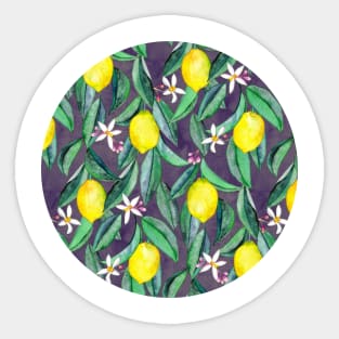 When Life Gives You Lemons - watercolor lemons on grey Sticker